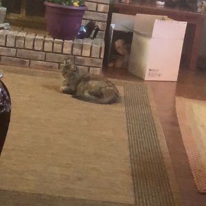 Meet your Posher, Robin